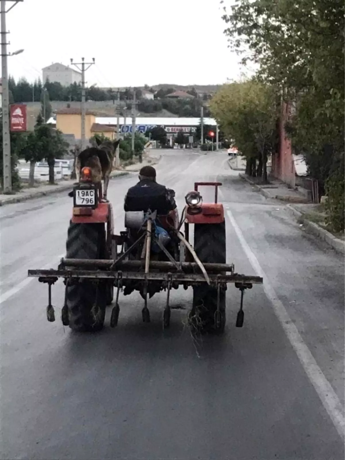 Köpeğini traktöre bindiren çiftçi gönülleri fethetti