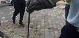 Otomobildeki yılan 2 saatte çıkarıldı