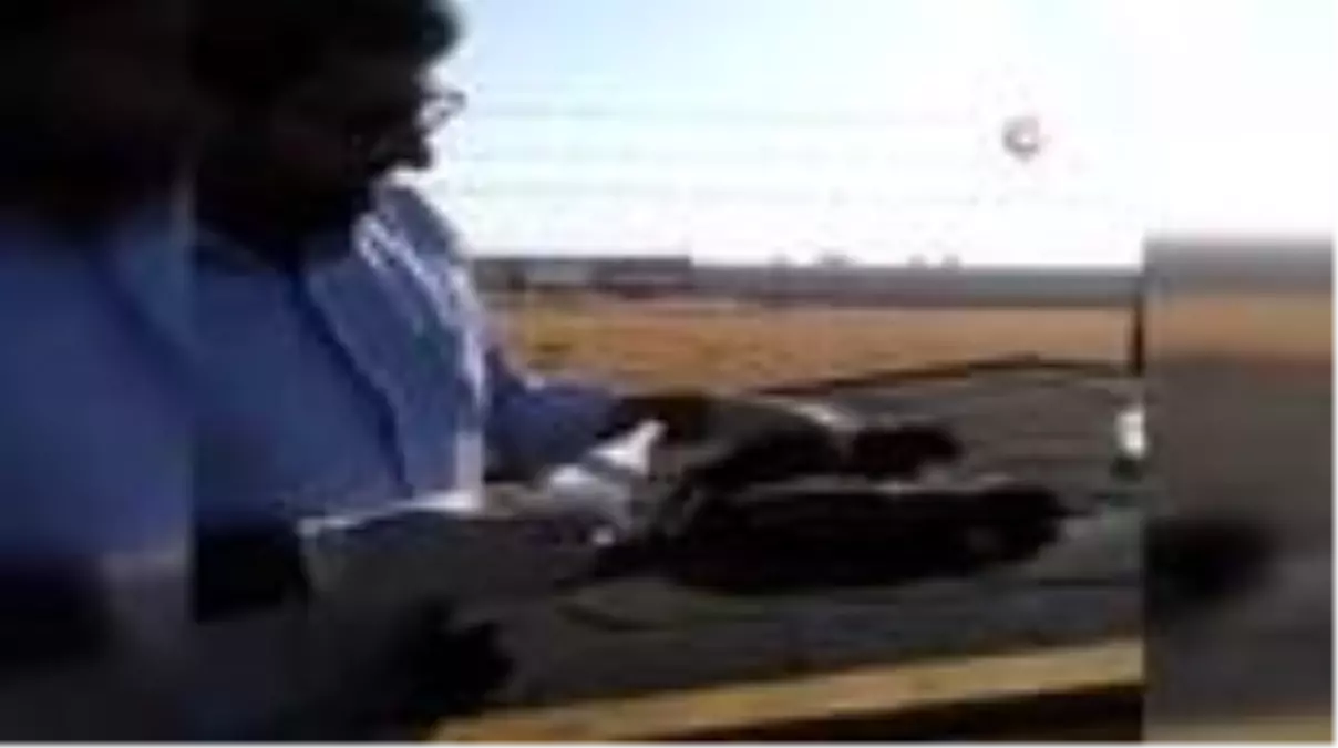 Yavru köpekleri biberonla besliyor