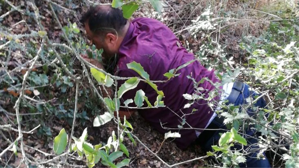 1 yıldır ormanlık alanlarda saklanan şüpheli JASAT ekiplerince yakalandı