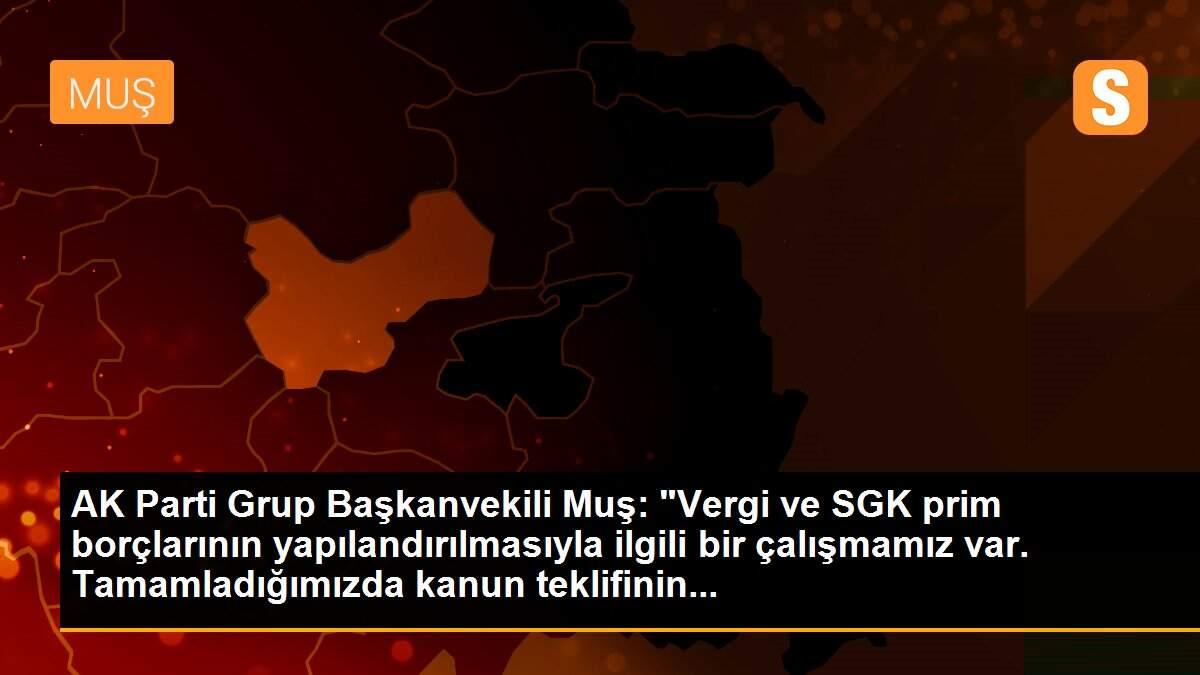 AK Parti Grup Başkanvekili Muş: "Vergi ve SGK prim borçlarının yapılandırılmasıyla ilgili bir çalışmamız var. Tamamladığımızda kanun teklifinin...