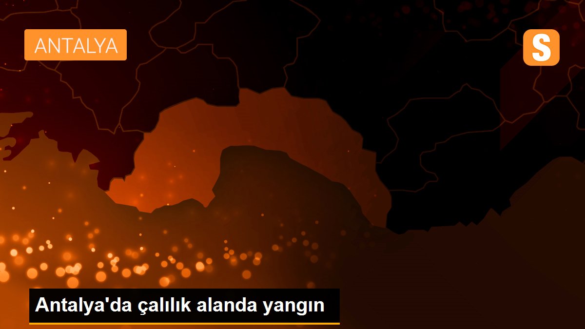 Antalya\'da çalılık alanda yangın
