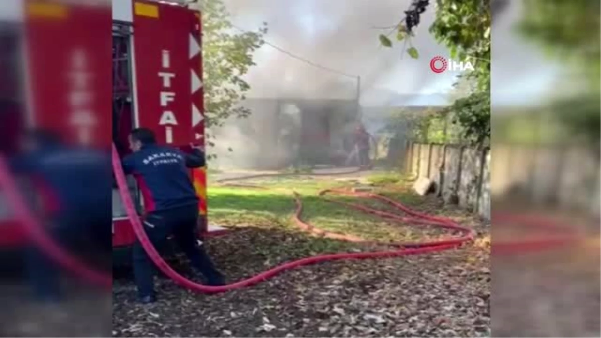 Fındıklık bahçesinde bulunan konteyner alev alev yandı