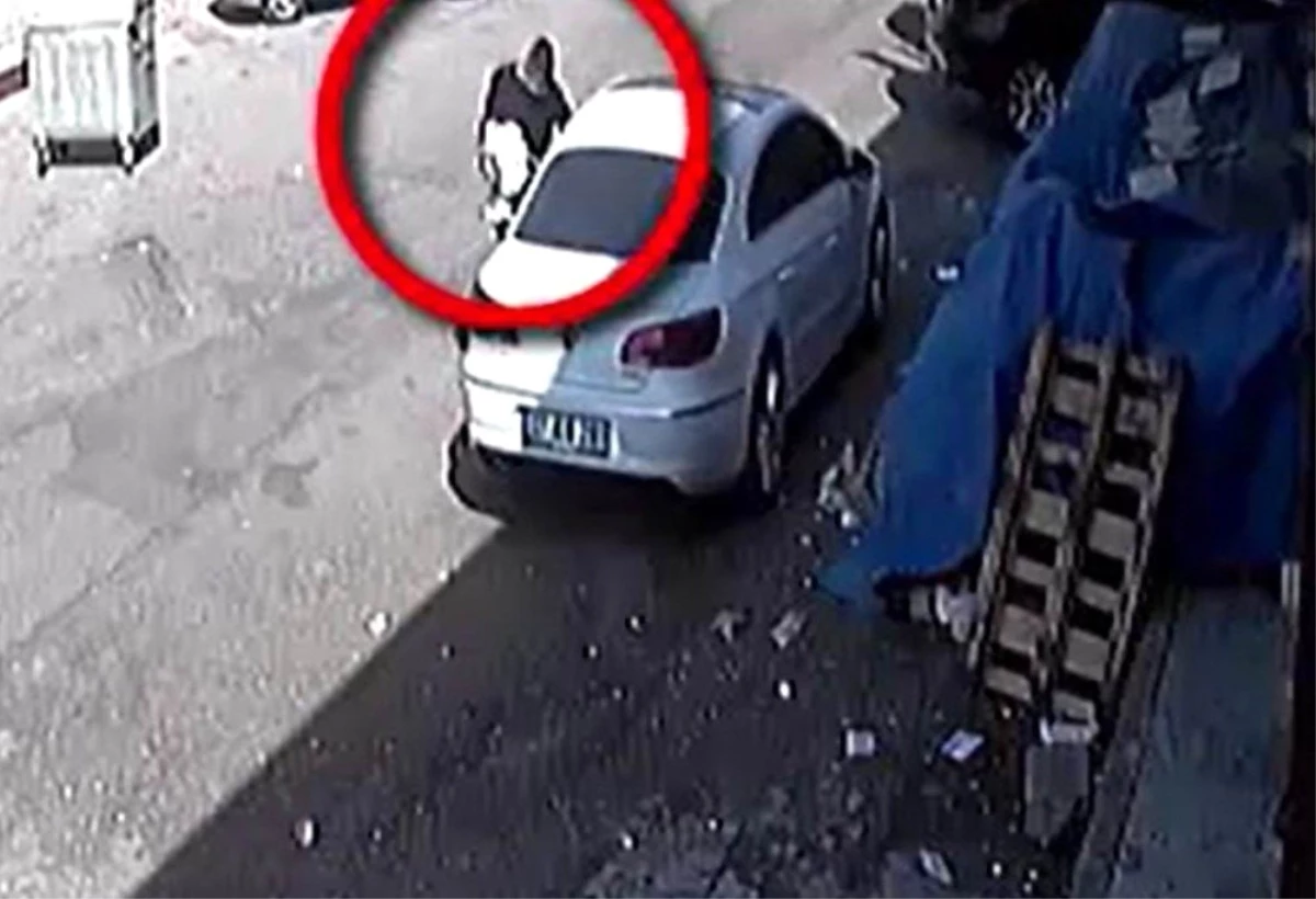 Son dakika haberi | Hırsız önce kameraya sonra polise yakalandı