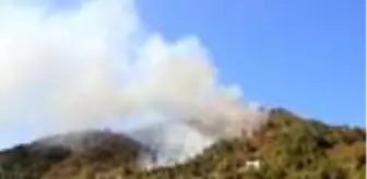 Kastamonu'da orman yangını yaklaşık 6 saatte kontrol altına alındı