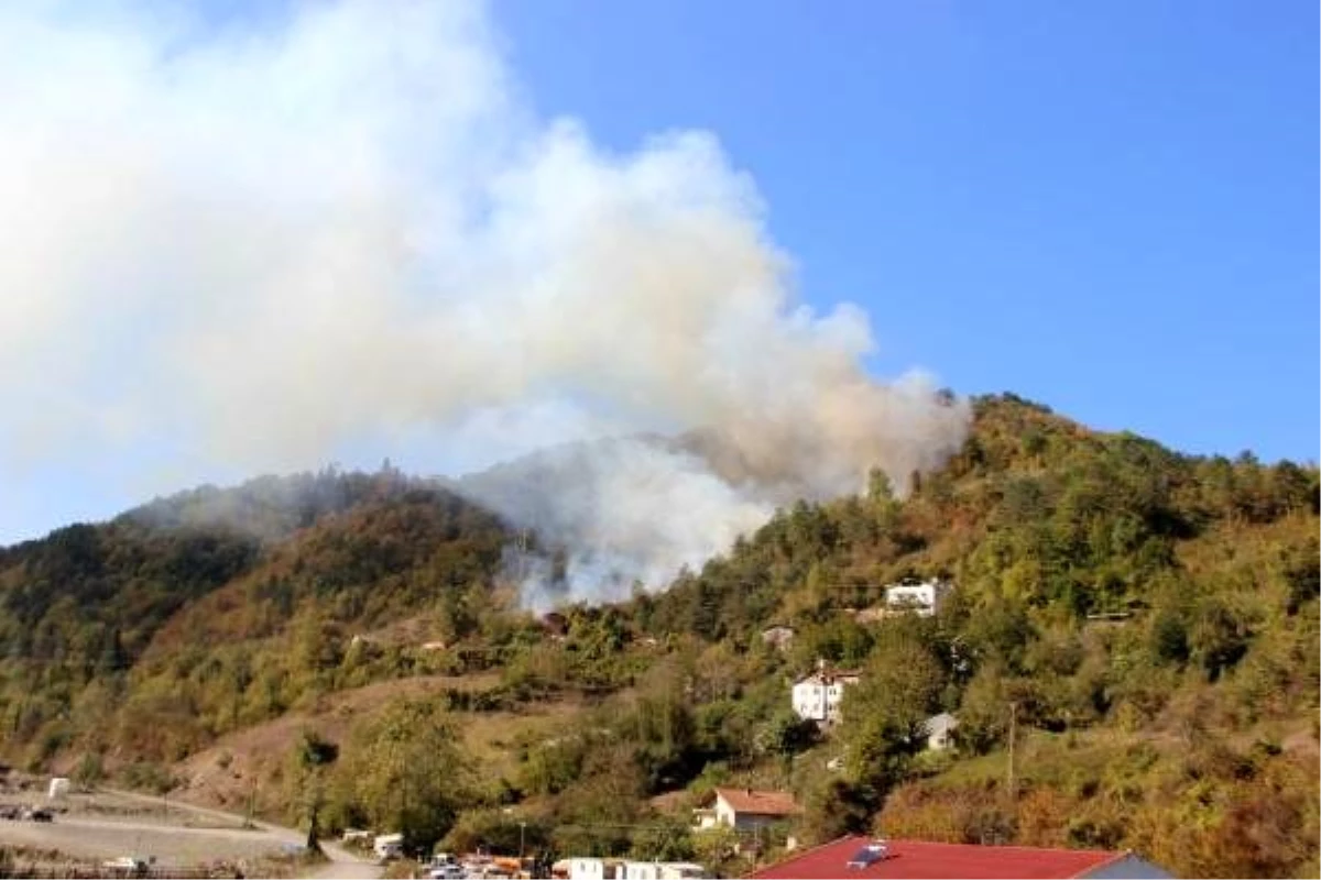 Kastamonu\'da orman yangını yaklaşık 6 saatte kontrol altına alındı
