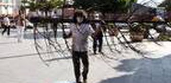 Son dakika... Profesör, orman yangınlarına dikkat çekmek zarar gören ağaçları sırtında taşıdı