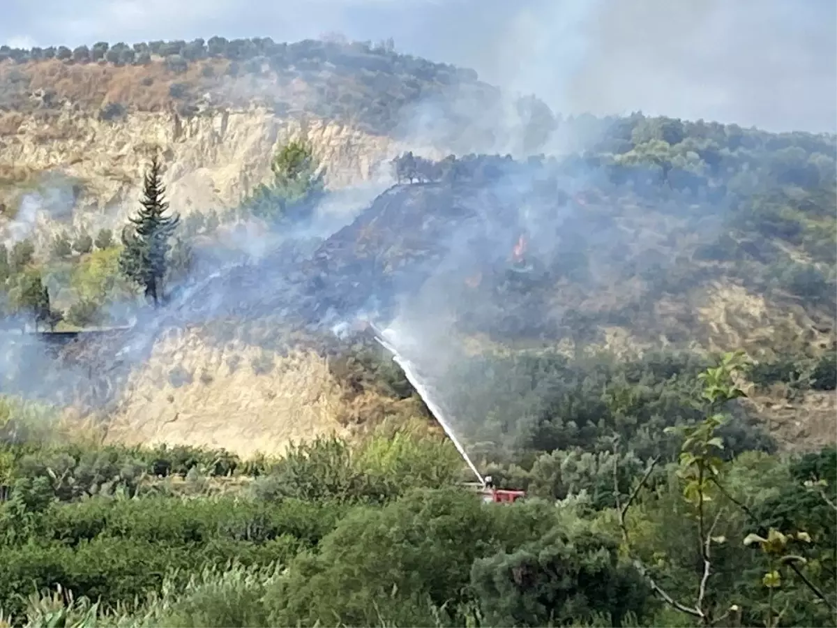 Son dakika haberleri! - Samandağ\'da bitki örtüsü yangını