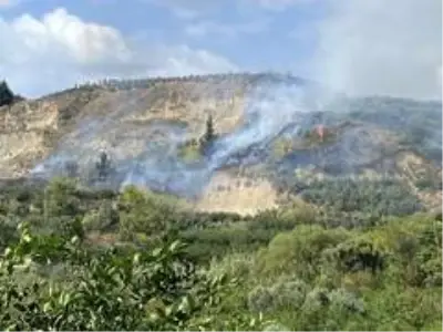 Son dakika haberleri! - Samandağ'da bitki örtüsü yangını