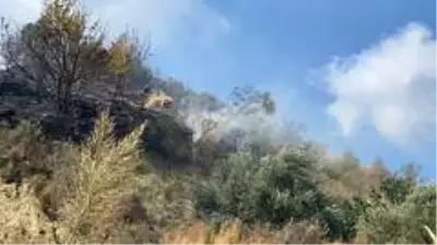 Son dakika haberleri! - Samandağ'da bitki örtüsü yangını