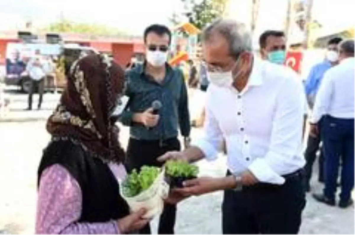 Atalardan miras kalan yerli tohumlar köylülere dağıtılıyor