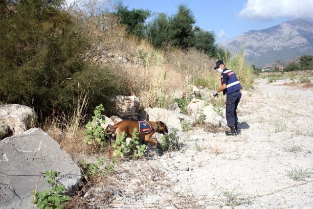 Son dakika haber: 633 gündür kayıp olan Buse için köpekli arama