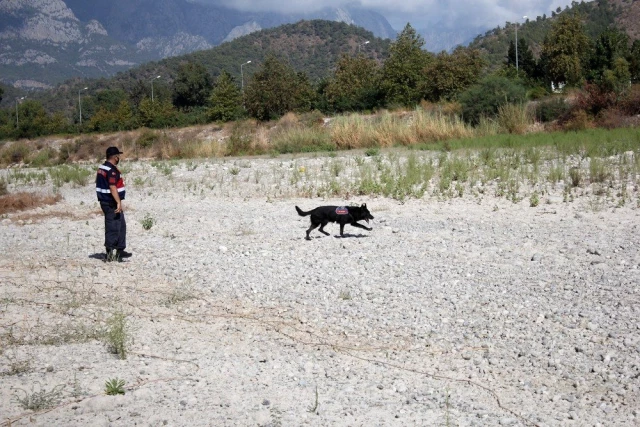 Son dakika haber: 633 gündür kayıp olan Buse için köpekli arama