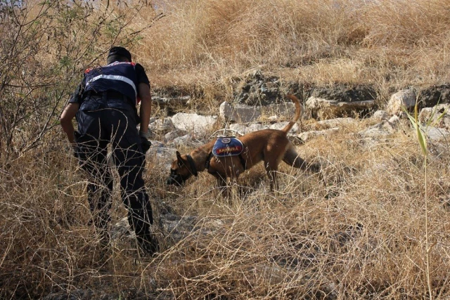 Son dakika haber: 633 gündür kayıp olan Buse için köpekli arama