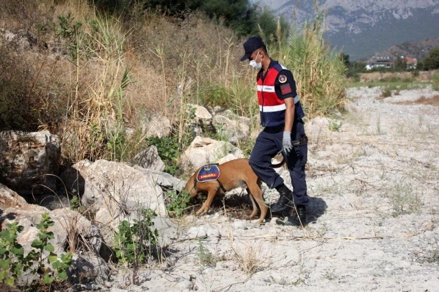 Son dakika haber: 633 gündür kayıp olan Buse için köpekli arama