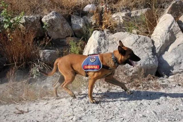 Son dakika haber: 633 gündür kayıp olan Buse için köpekli arama