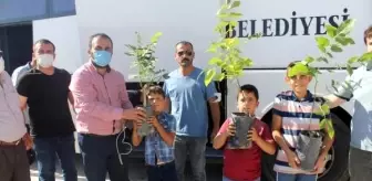 Adilcevaz TÜRŞAD Voleybol Takımı'ndan Hatay'a 99 ceviz fidanıyla destek