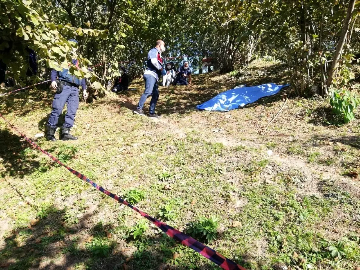 Ağaçtan düşen şahıs hayatını kaybetti