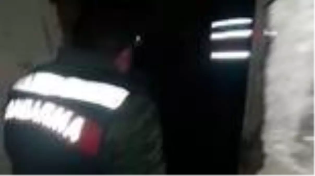 Hayvan hırsızları Jandarma dedektifleri JASAT\'tan kaçamadı