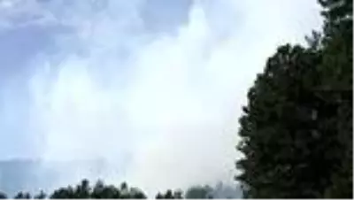 Son Dakika | Ödemiş'te orman yangını Son Dakika | Ödemiş'te orman yangını