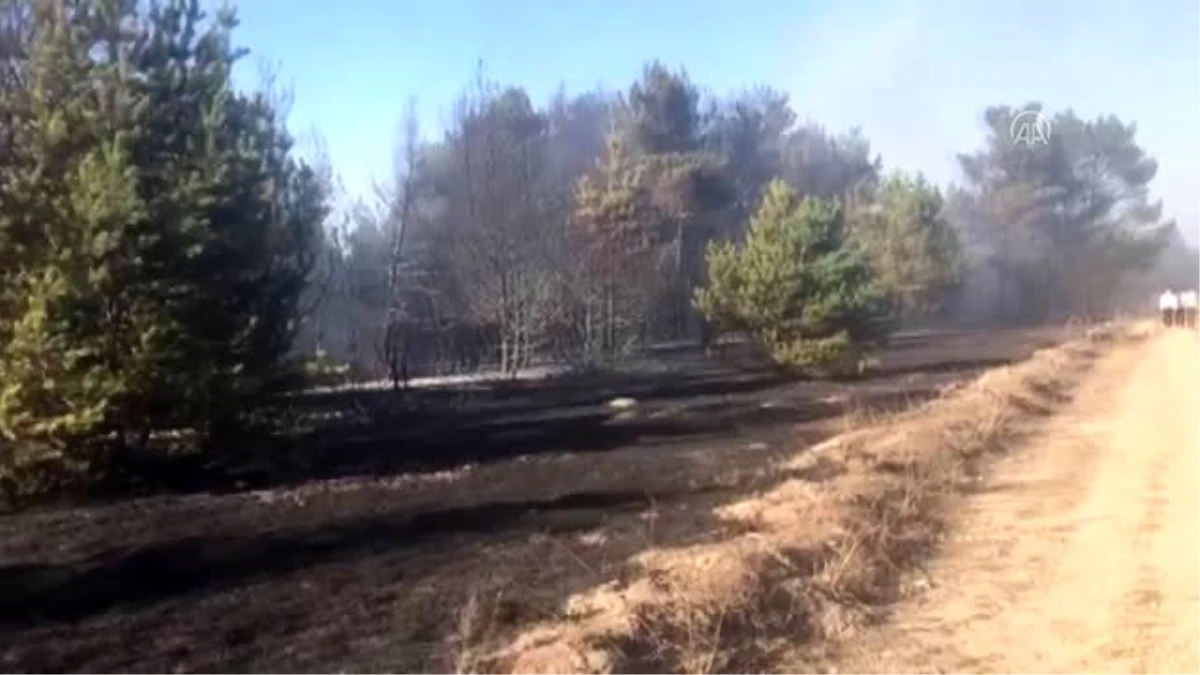 Orman ve örtü yangını kontrol altına alındı