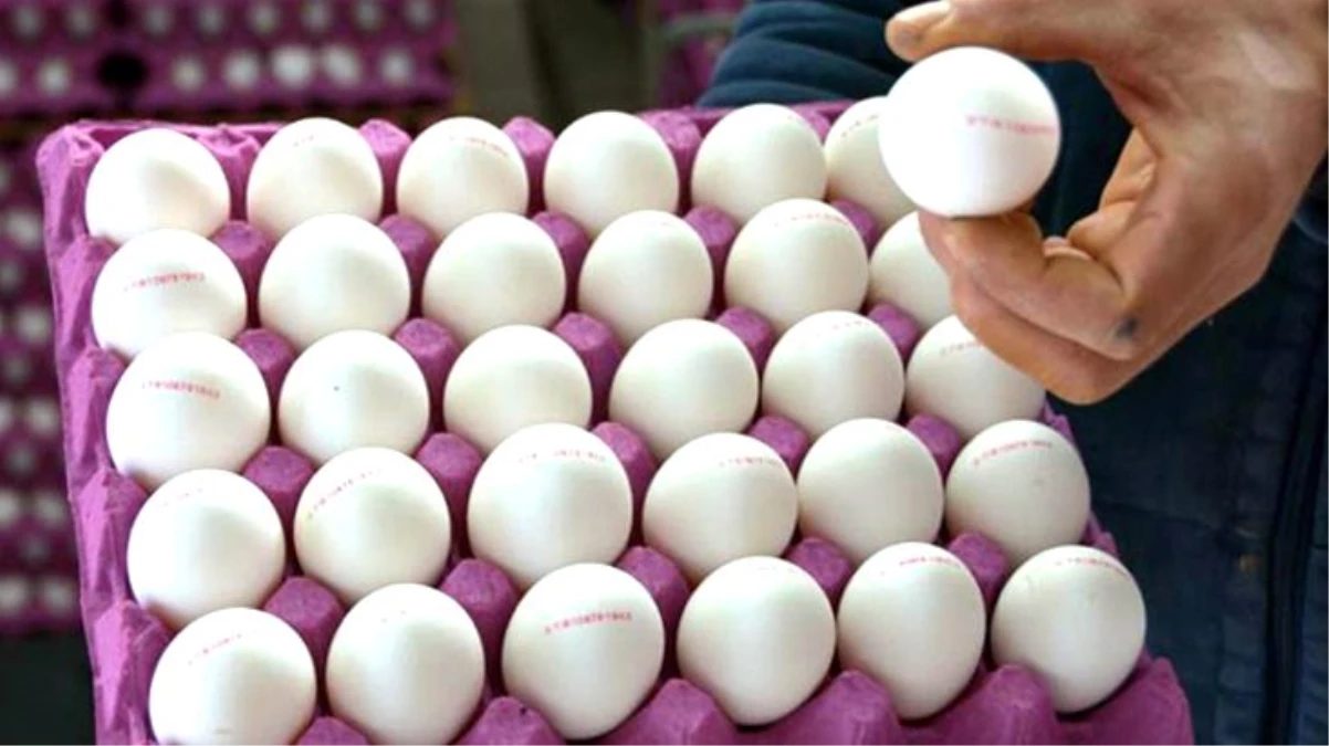 Yumurta fiyatlarındaki önlenemez yükseliş devam ediyor