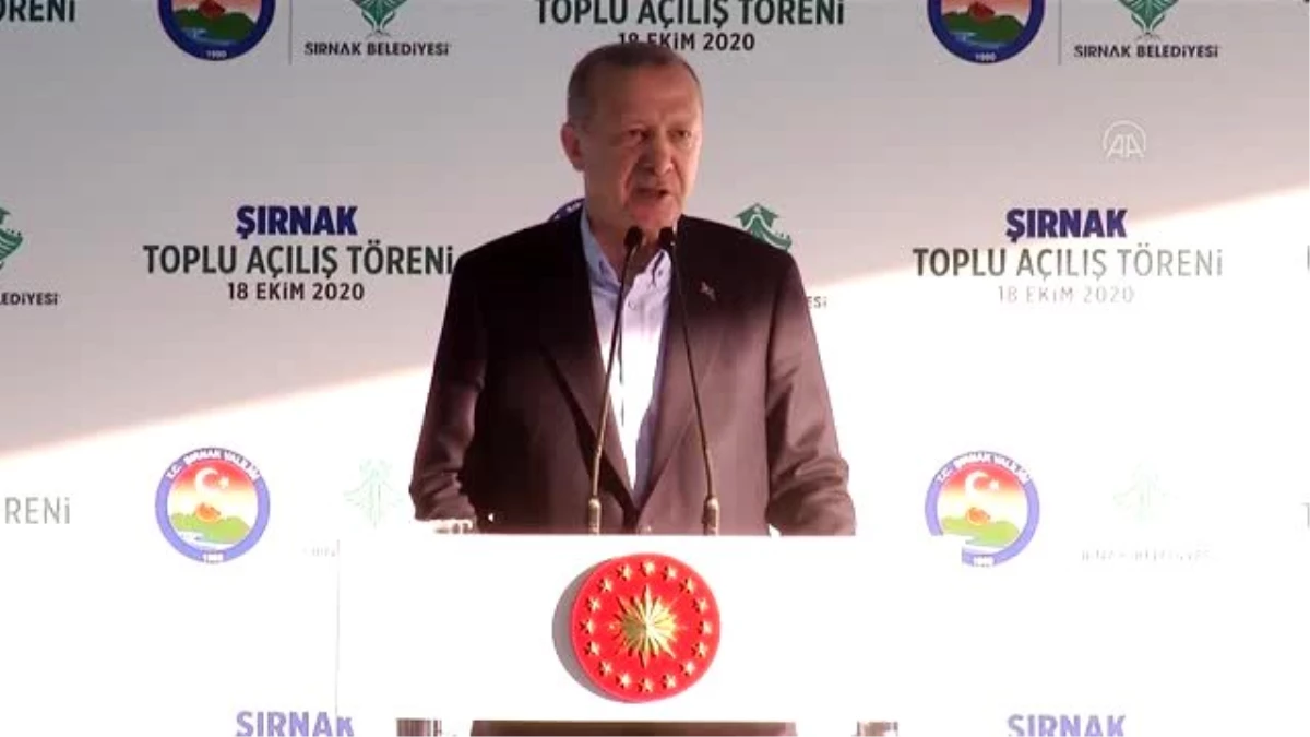 Cumhurbaşkanı Erdoğan: "Türkiye\'de sandık ve demokrasi dışında hiçbir meşruiyet alanı yoktur"
