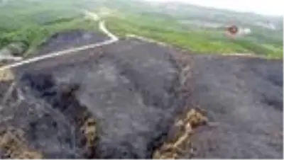 Hatay'da yanan ormanlık alana fidan dikmeyin uyarısı Hatay'da yanan ormanlık alana fidan dikmeyin uyarısı