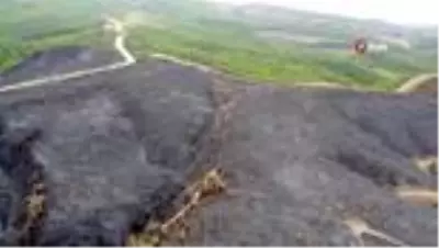 Hatay'da yanan ormanlık alana fidan dikmeyin uyarısı Hatay'da yanan ormanlık alana fidan dikmeyin uyarısı