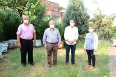 Hatay'daki yangında binden fazla arı kovanı yandı