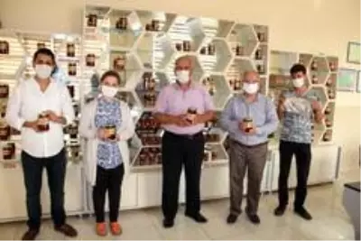 Hatay'daki yangında binden fazla arı kovanı yandı