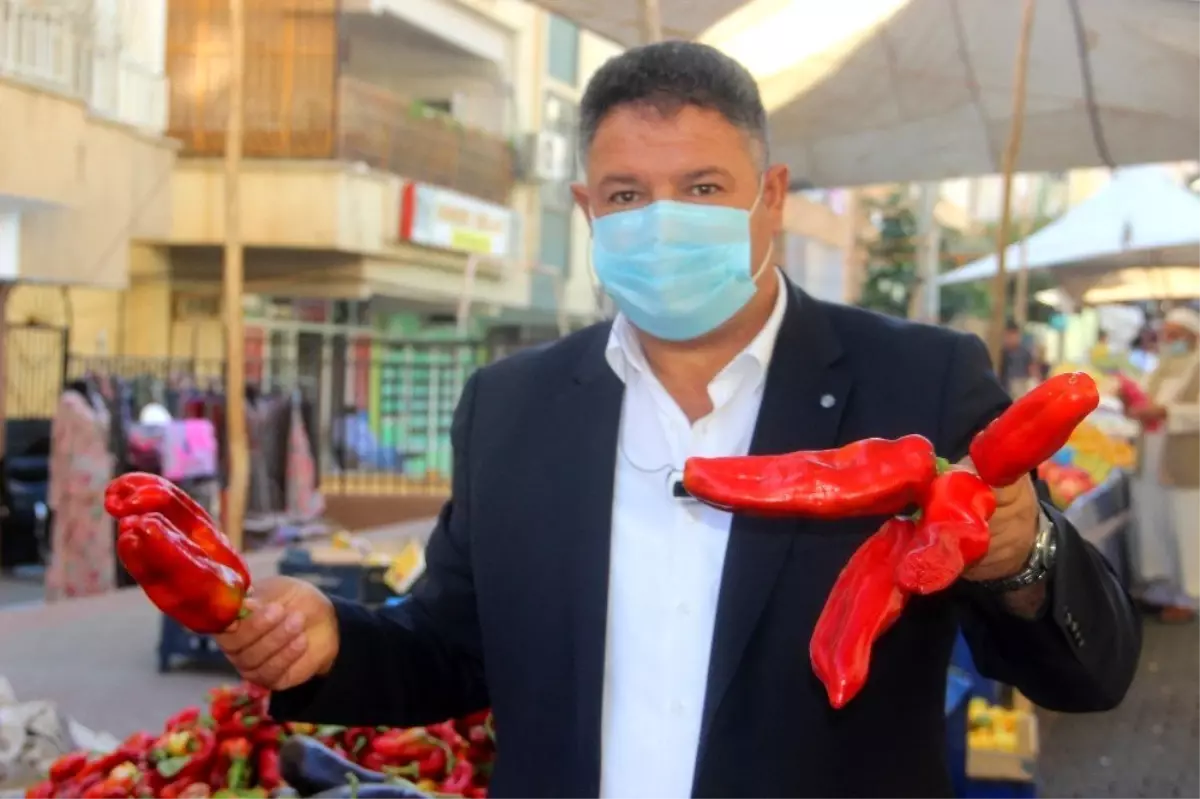 Serin hava ve ürün çokluğu Urfa isotunu vurduŞanlıurfa biberi maliyetinin altında satılıyorŞanlıurfa biberi pazarcı esnafının elinde kaldı