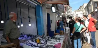 Sinop'ta tezgahlarda palamudun yerini hamsi almaya başladı