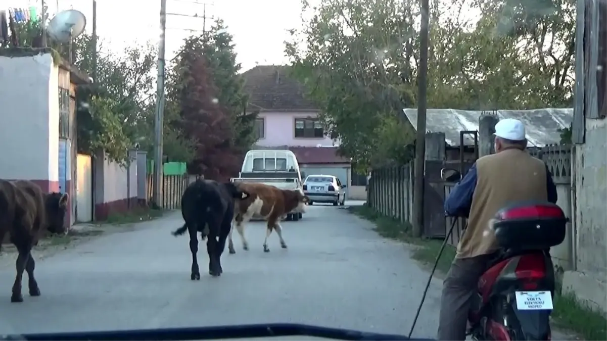 Teknolojiye ayak uydurdu