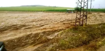 Turgutlu'da sağanak; 2 dere taştı, evler ve ahırlar su altında kaldı