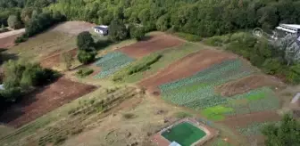 60 yıldır topladığı 1200 çeşit ata tohumuna gözü gibi bakıyor