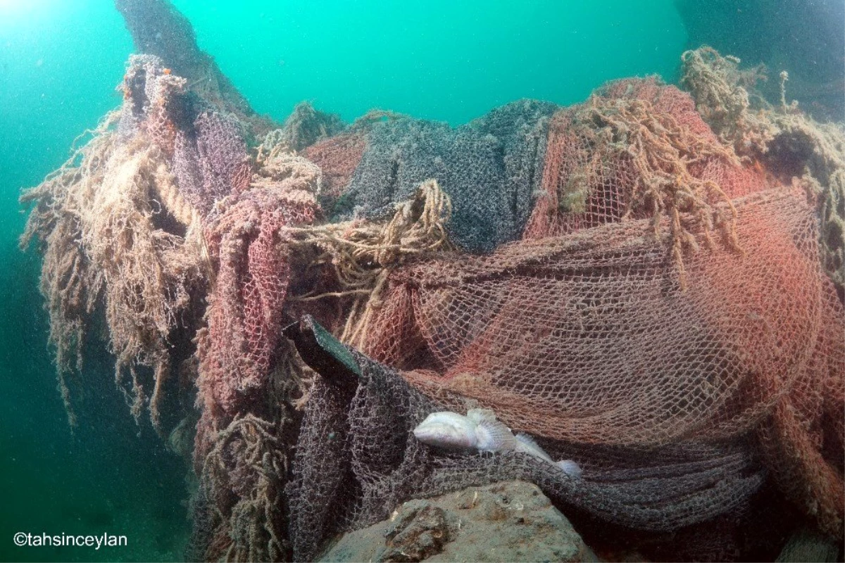 Son dakika! Almanya\'nın tarihi deniz altısı U-20 balıkçı ağlarıyla kaplı olarak Sakarya\'da fotoğraflandı