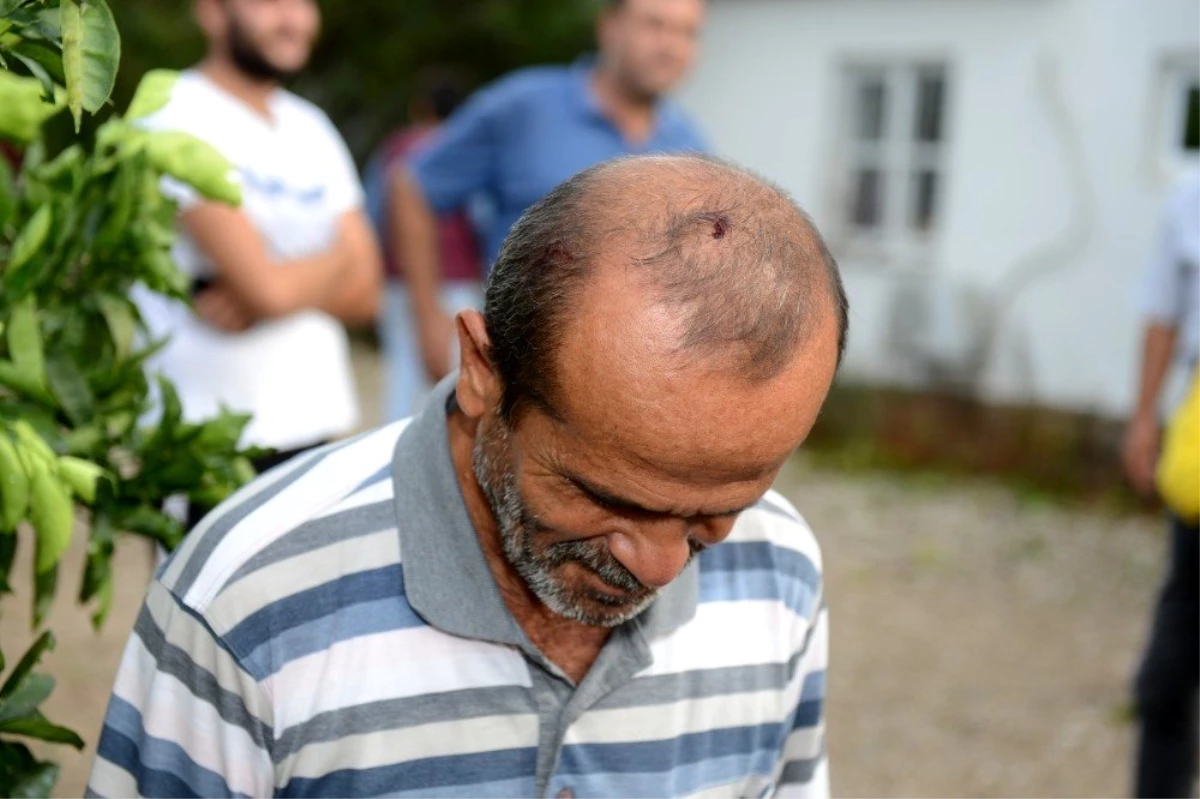 Doluya açık alanda yakalandı, başından yaralandı