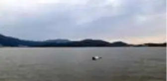 Son dakika haber: Fethiye'de sel suları, denizin rengini değiştirdi