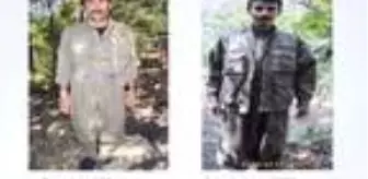 PKK'nın eylem hazırlığındaki 'uyuyan hücre'lerine operasyon: 4 terörist yakalandı (2)