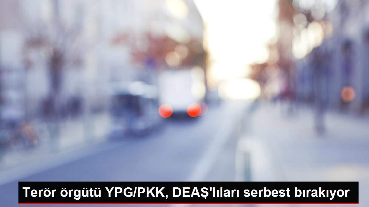 Terör örgütü YPG/PKK, DEAŞ'lıları serbest bırakıyor