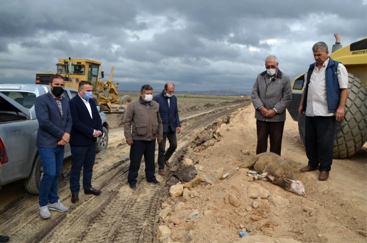 Bandırma\'da kırsal Doğruca Mahallesi arazi yolunun yapımına başlandı