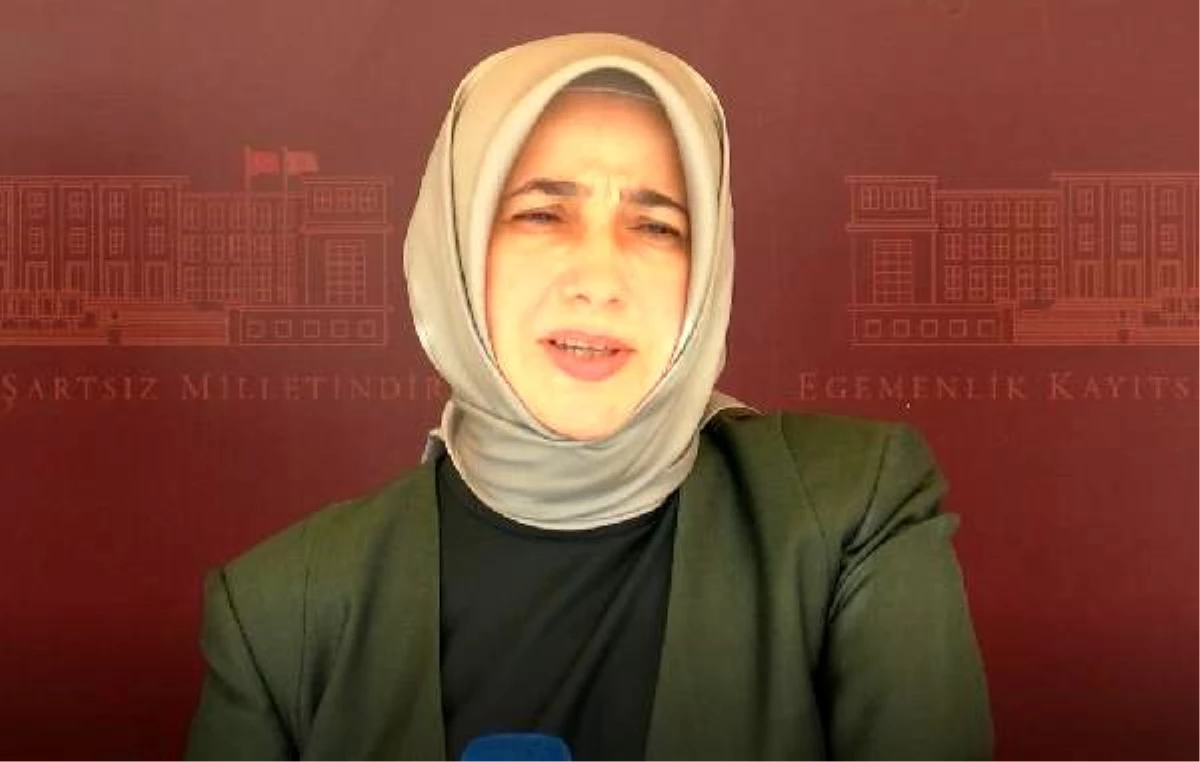 AK Parti\'li Zengin\'den, Diyarbakır annelerine hakaret eden HDP\'li Tosun\'a kınama