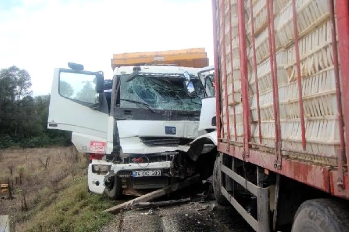 Bolu\'da kamyonlar, kafa kafaya çarpıştı: 2 yaralı
