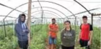 Durağın altında can veren Gülseren, tüp bebek tedavisi için doktora gidiyormuş (2)