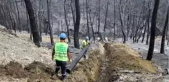 Hatay'daki yangın bölgesinde altyapı çalışmaları
