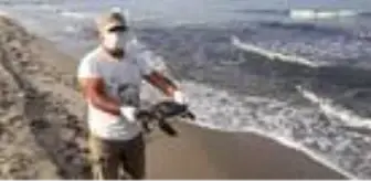 Kuşadası Körfezi?ndeki ölümlere bir yenisi daha eklendi