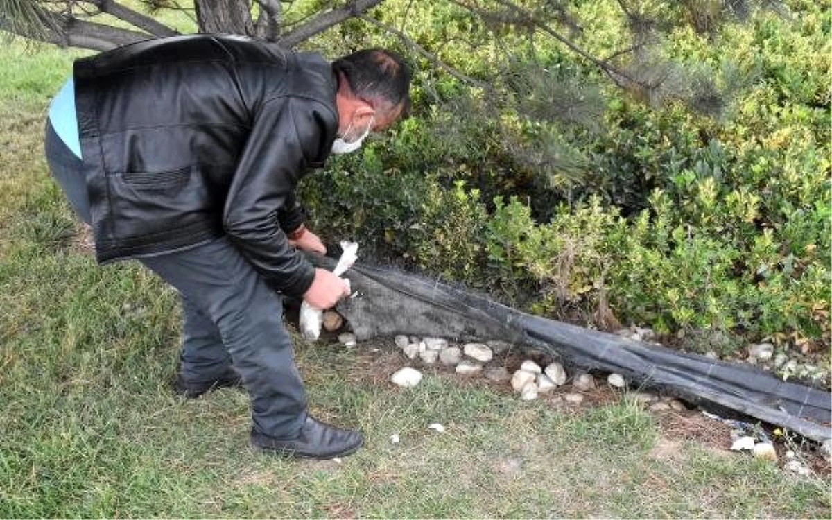 Sürücülerden aldıkları paraları refüje saklıyorlardı, polise yakalandılar