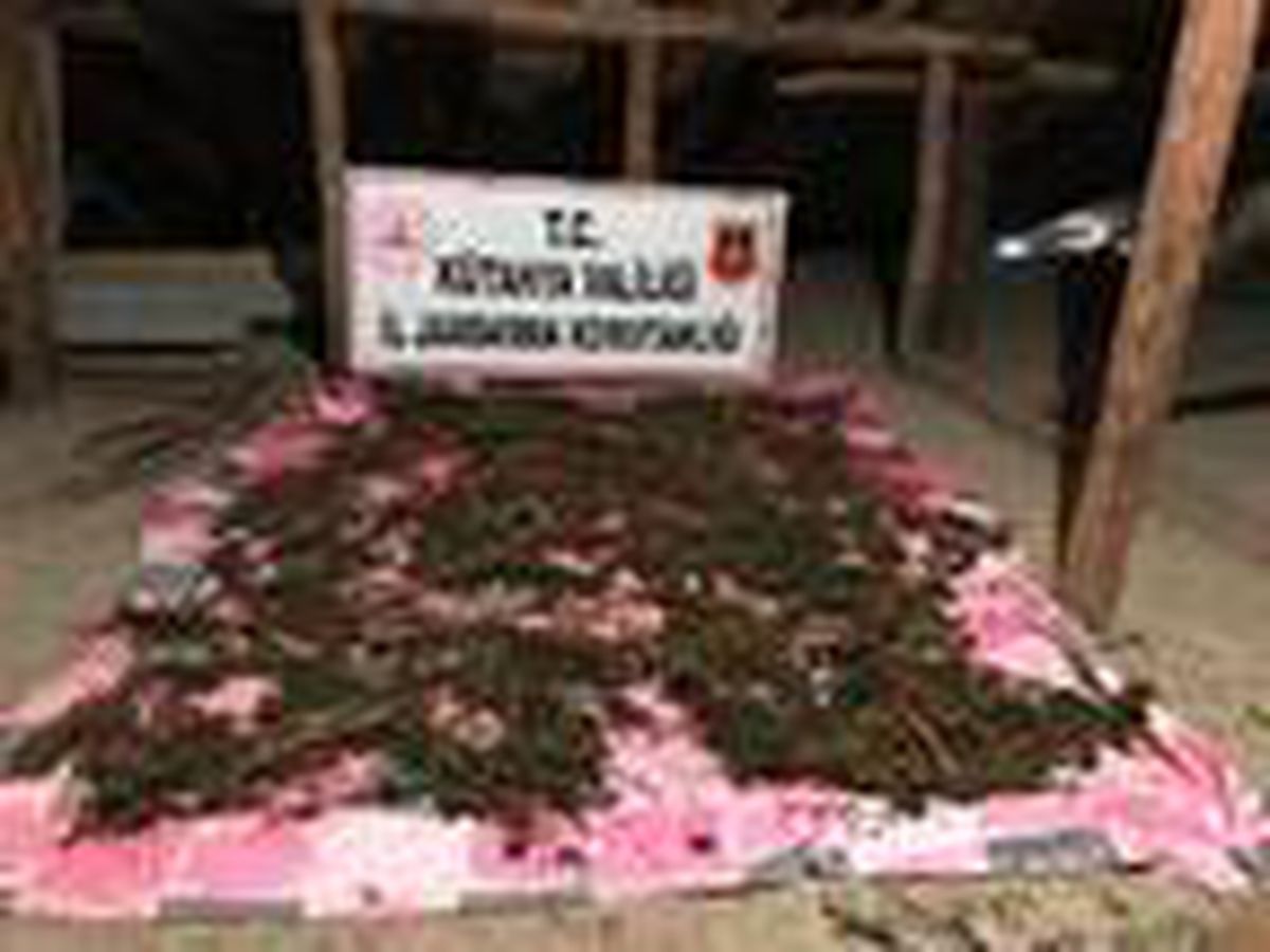 Evin çatısında 4 kilo esrar kuruturken yakalandılar