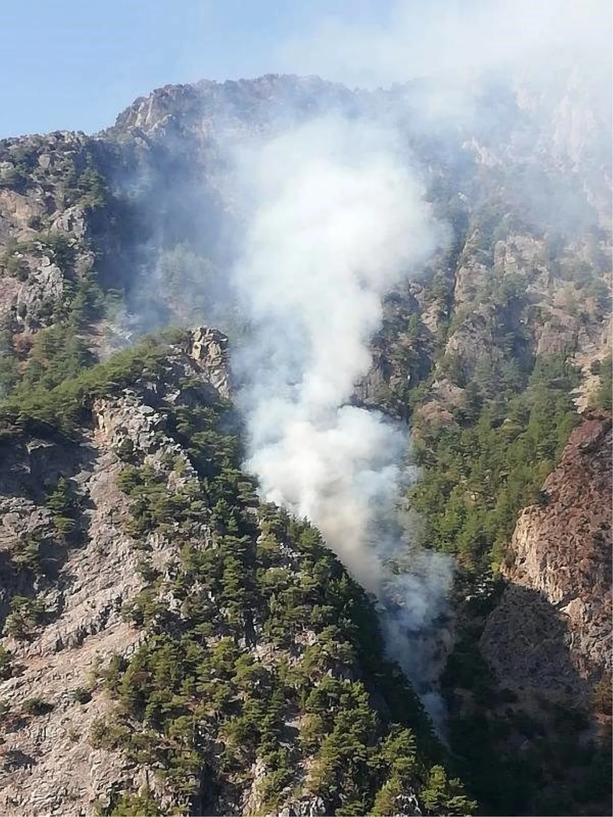 Son dakika haber | Kahramanmaraş\'ta 1 hektar ormanlık alan yandı